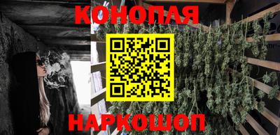 прущие грибы Кунгур
