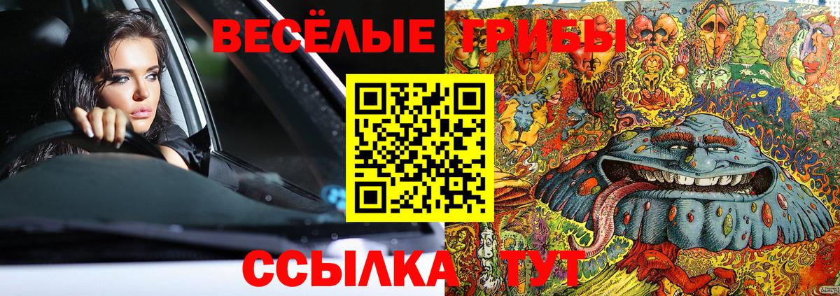Псилоцибиновые грибы GOLDEN TEACHER Волгодонск